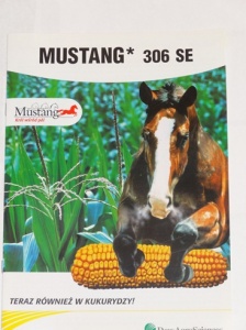 MUSTANG